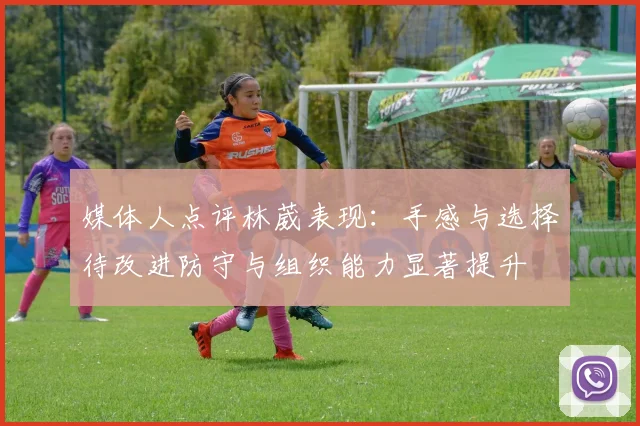 媒体人点评林葳表现：手感与选择待改进防守与组织能力显著提升