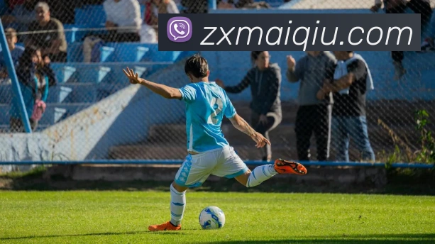 在线买球网站平台生态图