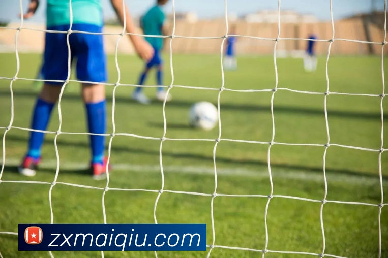 在线买球网站APP 封面图